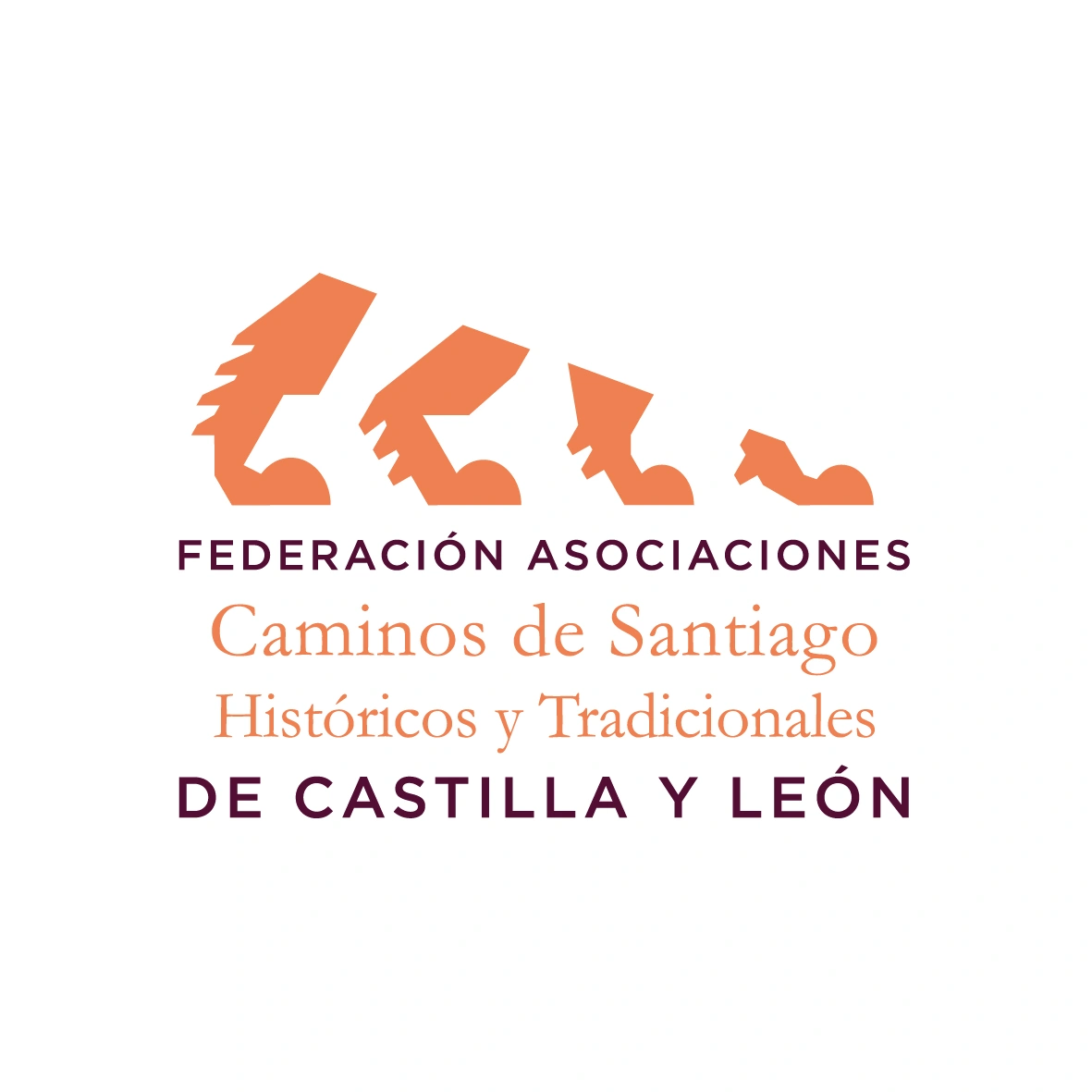 Federación de Asociaciones de Caminos de Santiago Históricos y Tradicionales de Castilla y  León